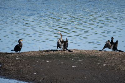 Receding Flood Waters