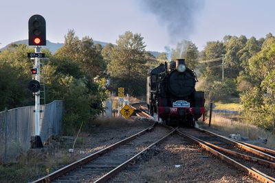 Picnic Train