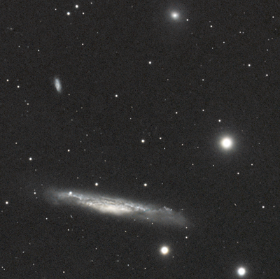 NGC3079