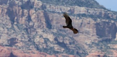 IMG_2731a.jpg