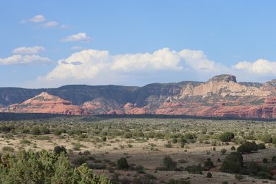 IMG_2338.JPG