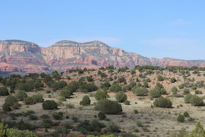 IMG_2347.JPG