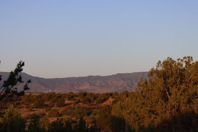 IMG_2467.JPG