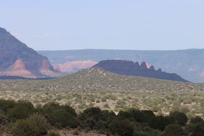 IMG_2379.JPG