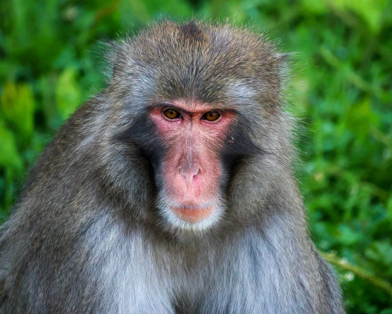 Gallery: The Minnesota Zoo