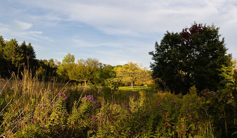 Gallery: Dusk - Dusk to Dawn Workshop, September 13-14, 2024