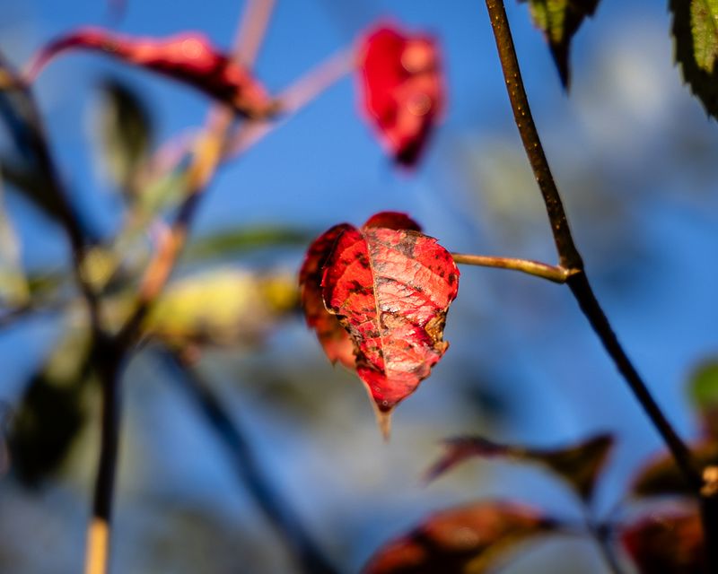 0Y6A7694.jpg
