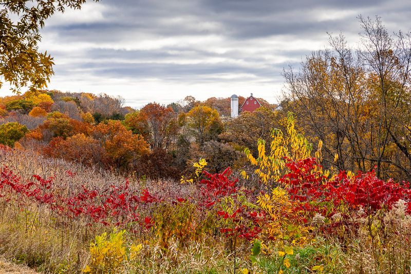 Gallery: Fall Color Walk - Ocober 23, 2024