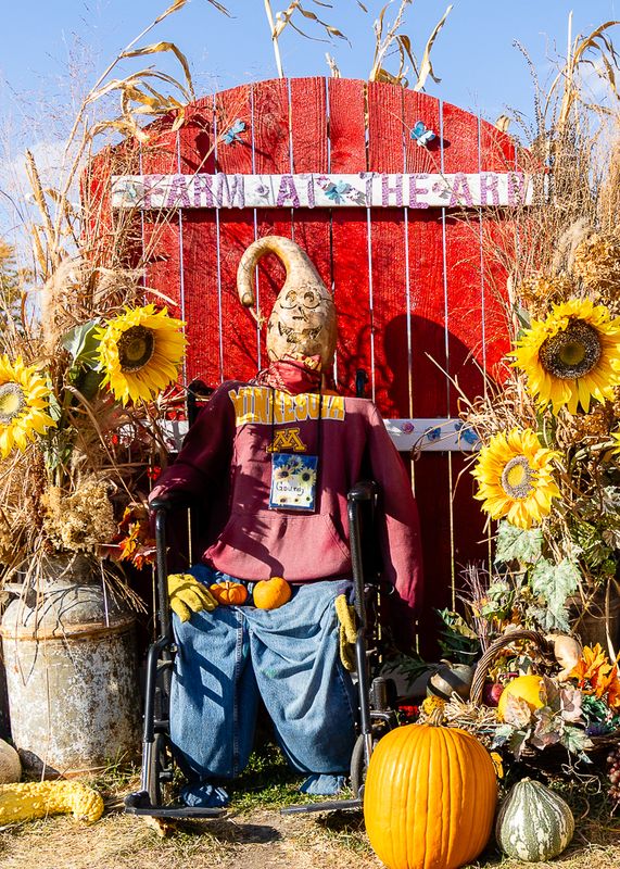 Scarecrows and The Farm - October 20, 2024