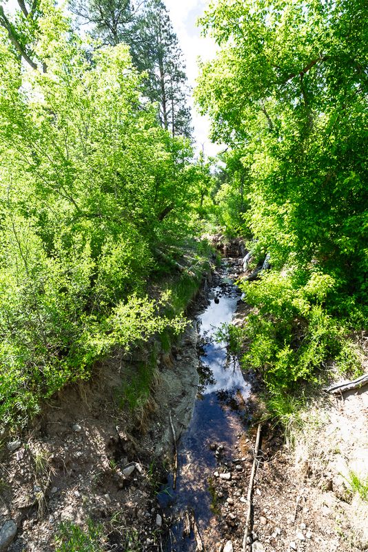 Gallery: Bandelier National Monument - June 1, 2025