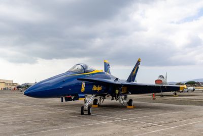 g13/84/7987384/3/175201399.f3cf35f7.JPEG