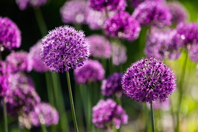 g13/84/7987384/3/175480182.06a68a65.JPEG