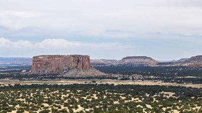 g13/84/7987384/3/175508880.2b6de35f.JPEG