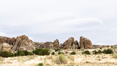 g13/84/7987384/3/175508895.2129d055.JPEG