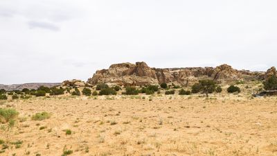g13/84/7987384/3/175508906.c37d5f08.JPEG