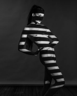 L1130565