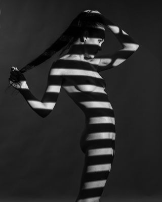 L1130582