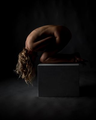 L1170529