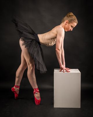 L1190407