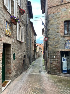 IMG_3959.jpeg