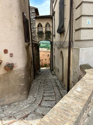 IMG_3957.jpeg