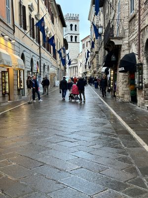 IMG_3947.jpeg