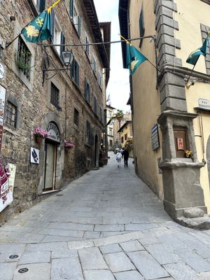 IMG_3906.jpeg