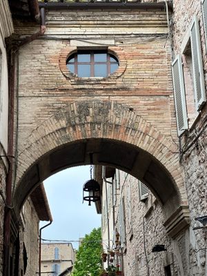 IMG_3951.jpeg