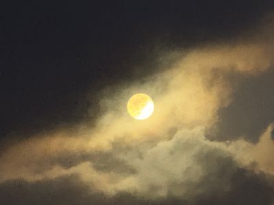 IMG_0335.jpeg