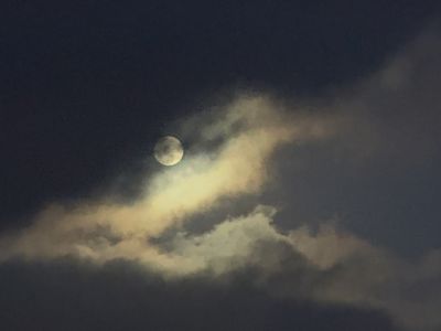 IMG_0338.jpeg