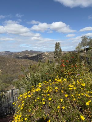IMG_0294.jpeg