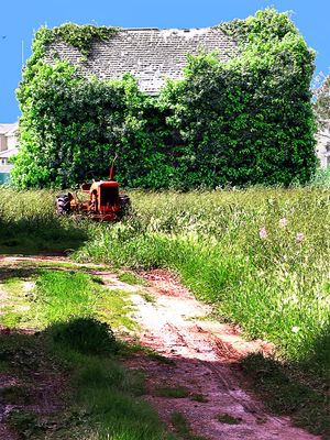 Barn_IMG_4485-CL-DPC7.jpg
