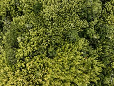 DJI_0275.jpg--.jpg