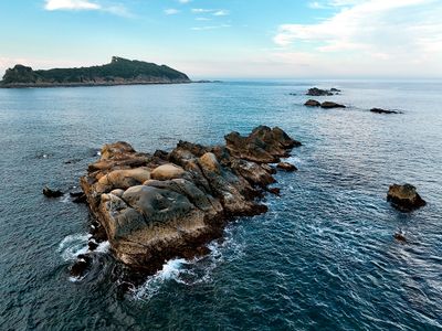 DJI_0981--.jpg