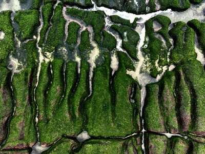 DJI_0788---.jpg