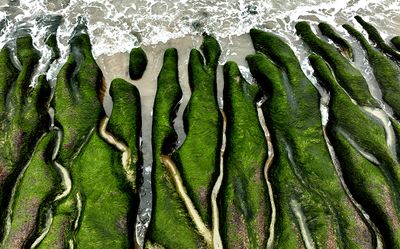 DJI_0596---.jpg