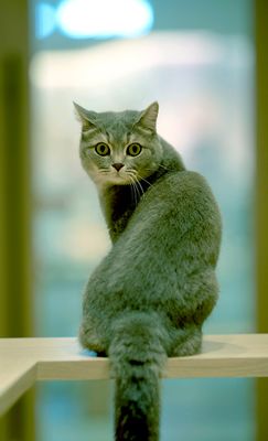 CAT 2025