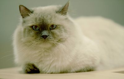 DSC_0474--.jpg