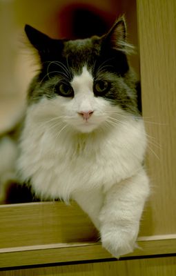 DSC_0364--.jpg