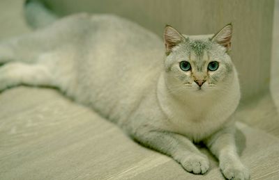 DSC_0352--.jpg