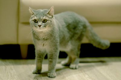 DSC_0292--.jpg