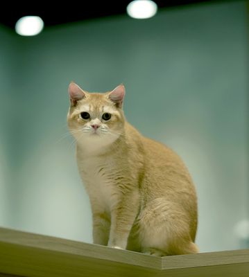 DSC_0230--.jpg