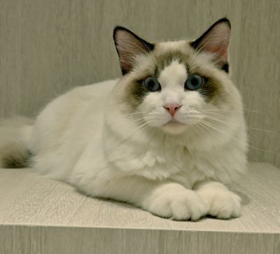DSC_0396--.jpg