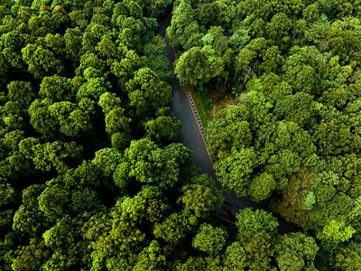 DJI_0385--.jpg