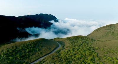 DJI_0719--.jpg