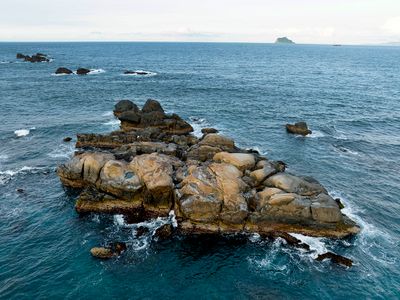 DJI_0665--.jpg
