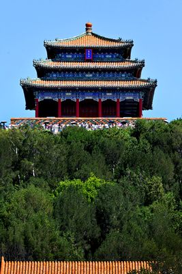 Z55_4228--.jpg
