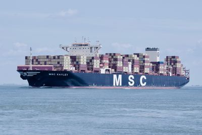 The MSC Kayley makes a splendid sight as she passes Terneuzen bound for Gdansk. (10/7/2025)