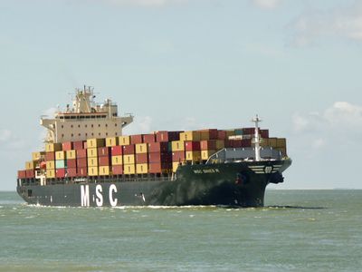 MSC Stines R