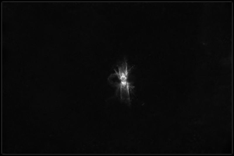 The Ant nebula Starless